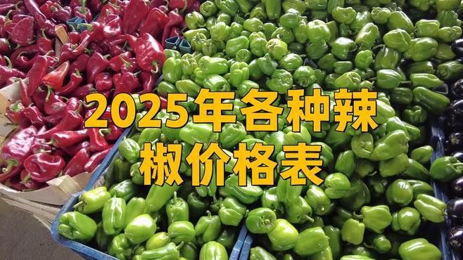 綠皮辣椒紅龍的價格是多少？