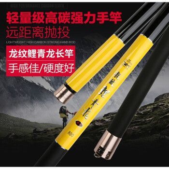 金龍魚和紅龍魚哪個更昂貴一點（金龍魚和紅龍魚哪個更昂貴？）