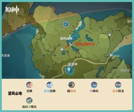 原神龍魚哪里多 原神龍魚哪里多 龍魚百科 第8張