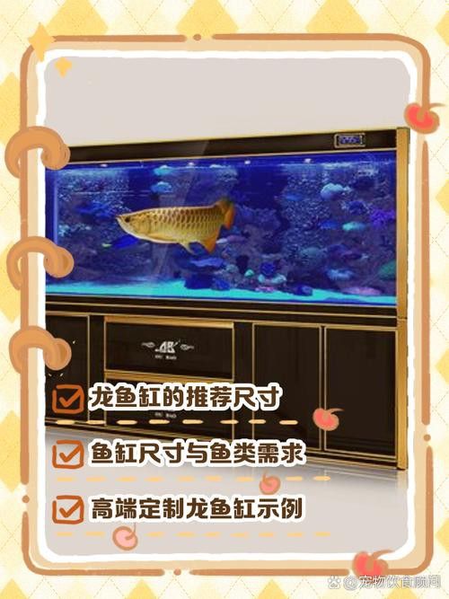 金龍魚魚缸最小尺寸是多少米 金龍魚魚缸最小尺寸是多少米 龍魚百科 第2張