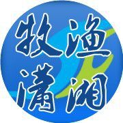 龍魚寄生蟲放大1倍照片