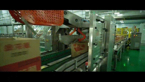 金龍魚小包裝車間（無法直接得知金龍魚小包裝車間的具體信息如需了解）