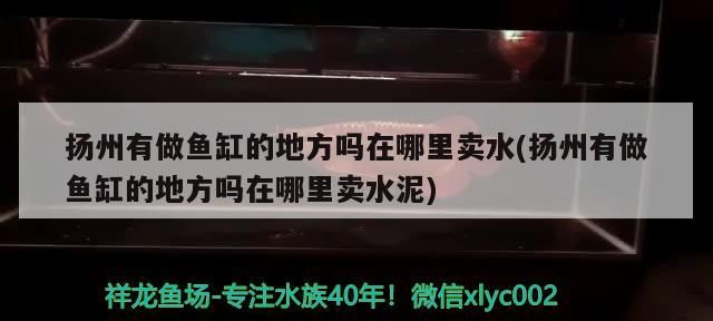 揚州有做魚缸的地方嗎在哪里賣水(揚州有做魚缸的地方嗎在哪里賣水泥) 揚州有做魚缸的地方嗎在哪里賣水(揚州有做魚缸的地方嗎在哪里賣水泥) 龍魚百科