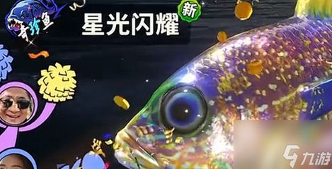 魚大師的龍魚燈怎么樣：漁師傅錦鯉龍魚羅漢觀賞魚魚缸t8燈管光管 魚大師的龍魚燈怎么樣：漁師傅錦鯉龍魚羅漢觀賞魚魚缸t8燈管光管 龍魚百科 第2張