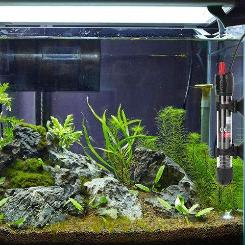 西龍魚缸加熱棒怎么樣