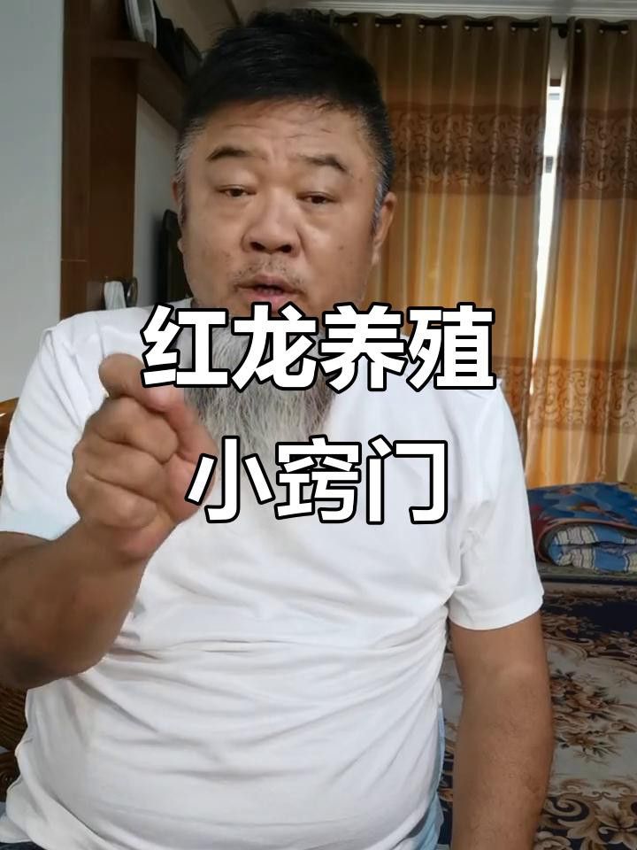 印尼紅龍魚苗如何飼養