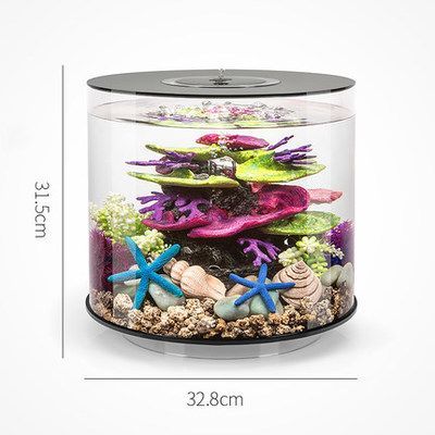 朱巴利魚混養伴侶選擇：朱巴利魚的伴侶選擇指南