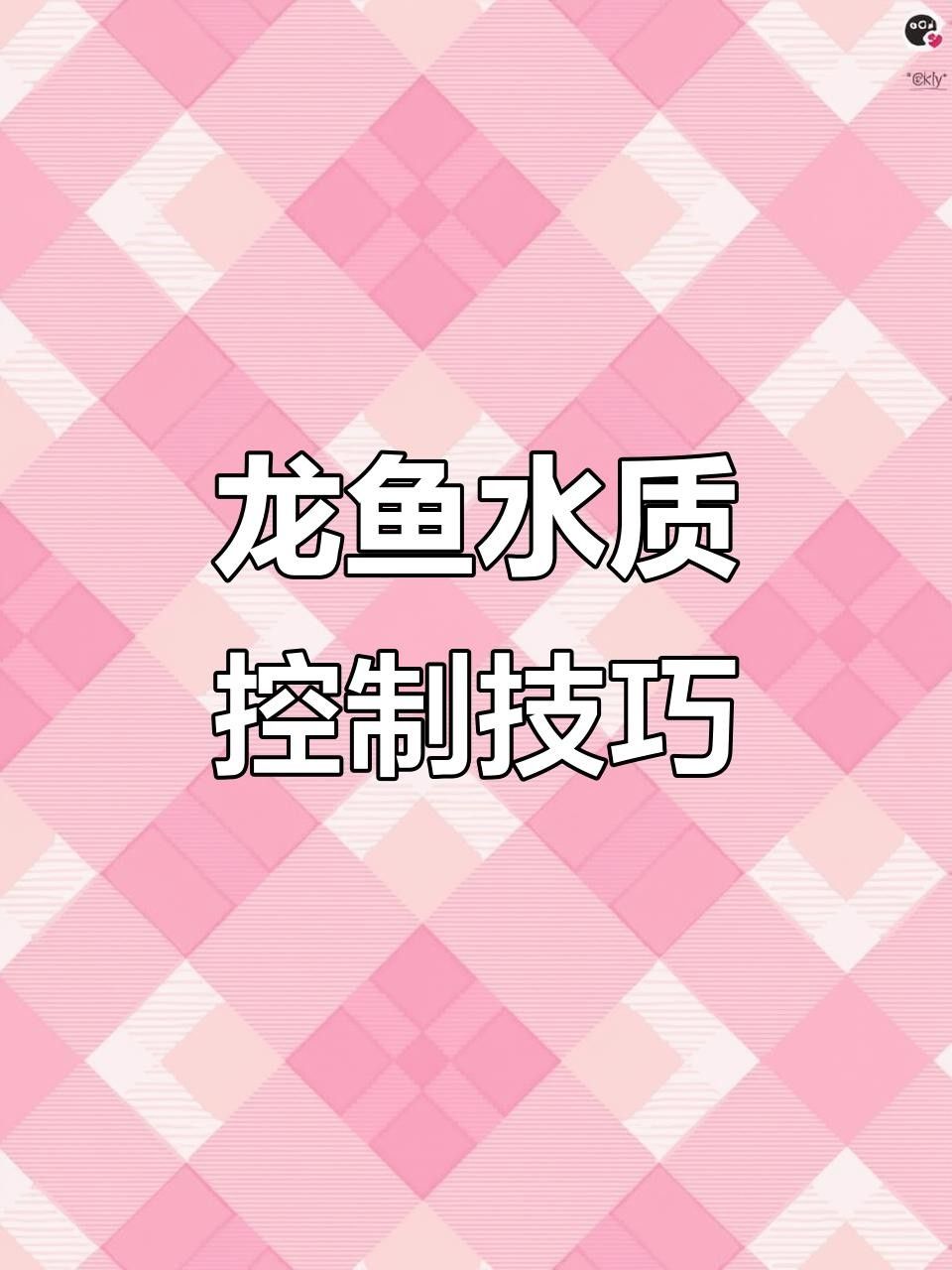 高背金龍魚多久換一次水？