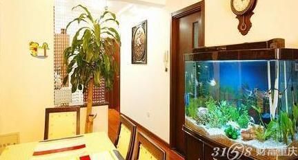一進(jìn)門正對(duì)著魚缸好嗎風(fēng)水,如何布置魚缸提升家居風(fēng)水 龍魚百科 第3張 一進(jìn)門正對(duì)著魚缸好嗎風(fēng)水,如何布置魚缸提升家居風(fēng)水 一進(jìn)門正對(duì)著魚缸好嗎風(fēng)水,如何布置魚缸提升家居風(fēng)水 龍魚百科 第3張