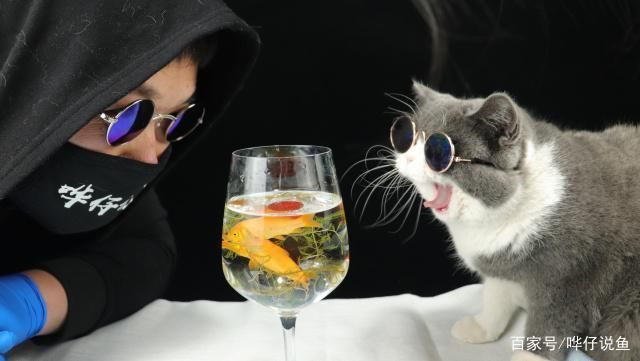 龍魚常備藥物有哪些藥名：龍魚常備藥物 龍魚常備藥物有哪些藥名：龍魚常備藥物 龍魚百科 第2張