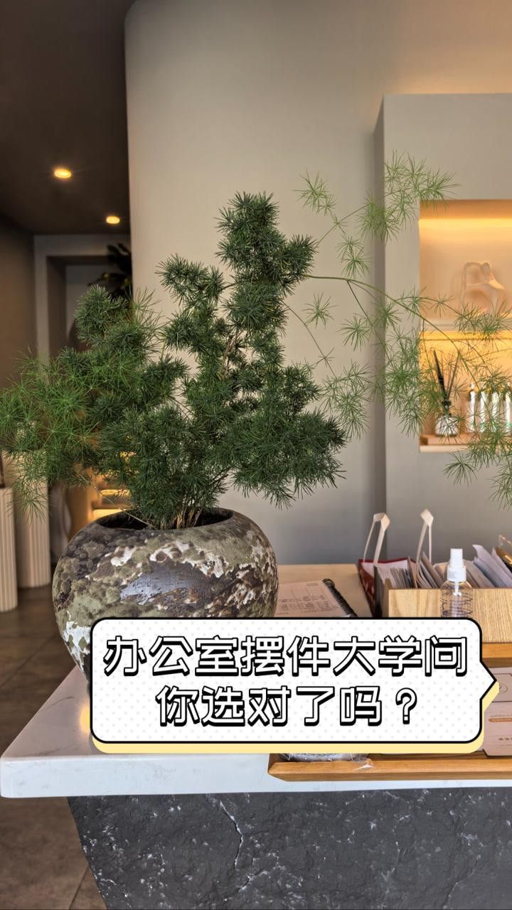 如何挑選高質量的龍魚擺件？