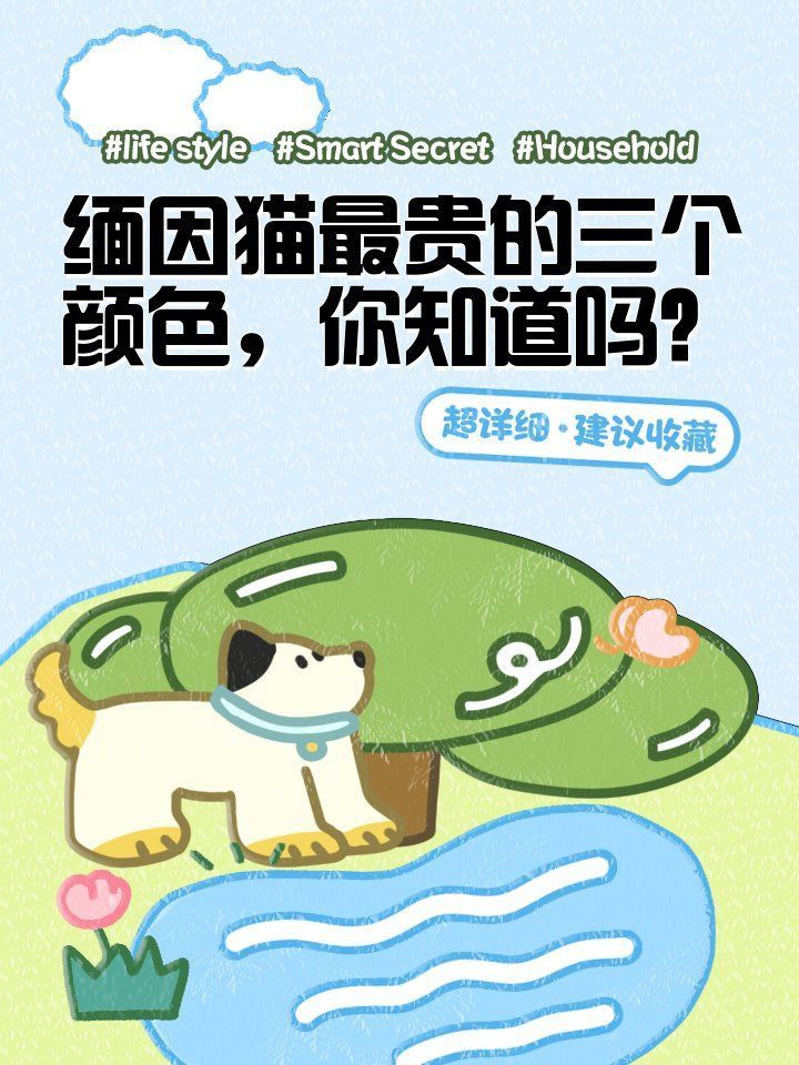 藍眼斑屬于什么檔次 藍眼斑屬于什么檔次 龍魚百科 第9張