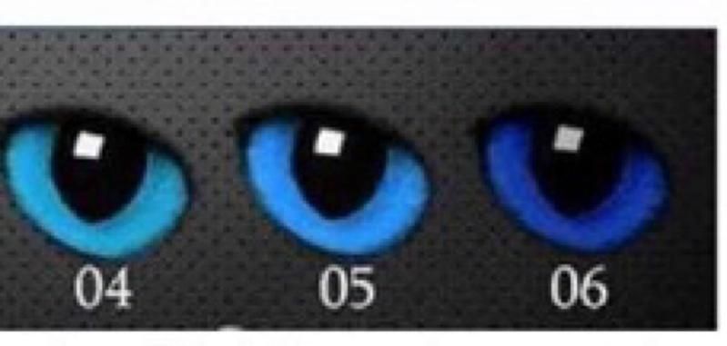 藍眼斑屬于什么檔次 藍眼斑屬于什么檔次 龍魚百科 第4張