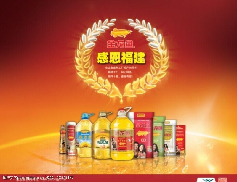 金龍魚在福建的業務涉及多個領域：金龍魚在福建有哪些業務？