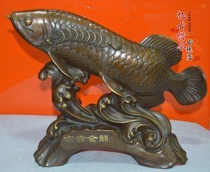 金龍魚鎮宅飼養注意事項：吉祥寓意富足寓意避邪轉運：金龍魚鎮宅嗎金龍魚鎮宅嗎吉祥寓意和象征意義