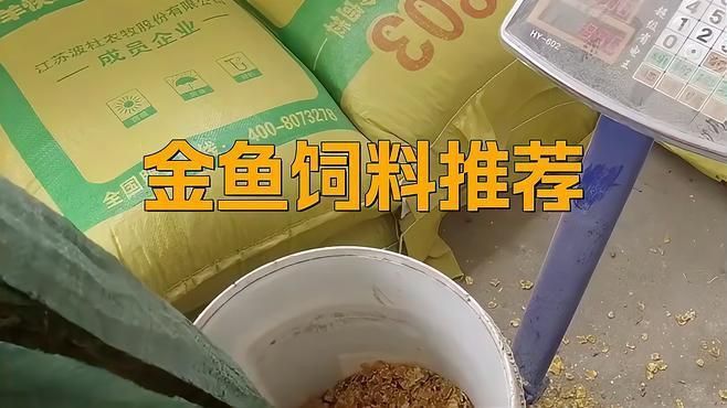 金魚糧哪個牌子最靠譜