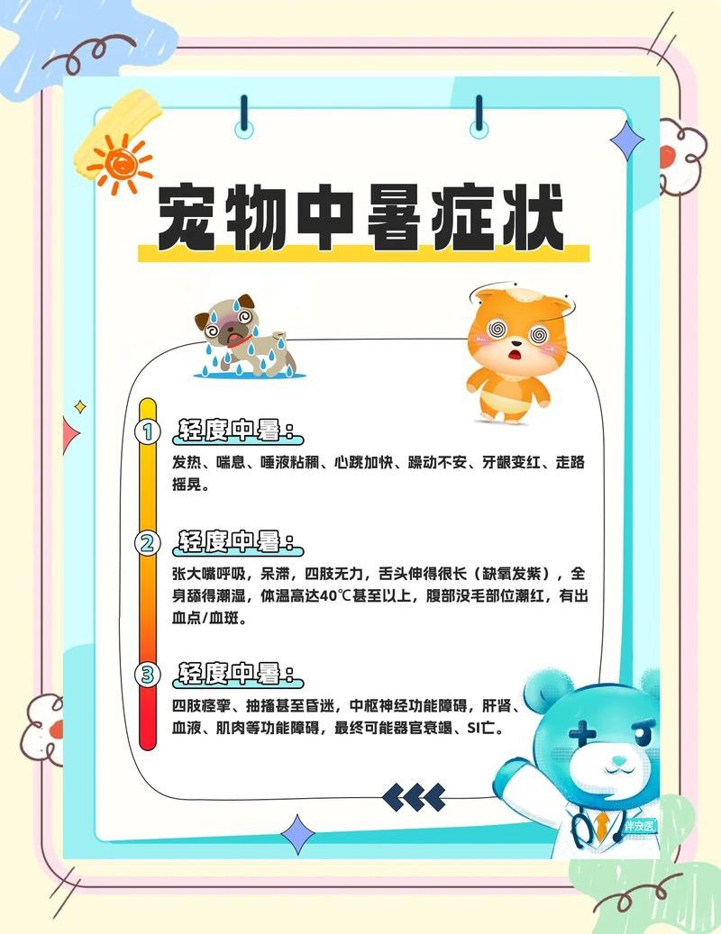 六角恐龍魚中暑后多久會恢復？ 六角恐龍魚中暑后多久會恢復？ 龍魚百科 第1張