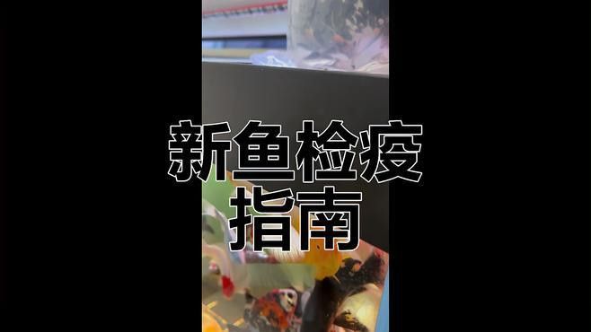 如何判斷小魚是否消毒徹底？ 如何判斷小魚是否消毒徹底？ 龍魚百科 第1張