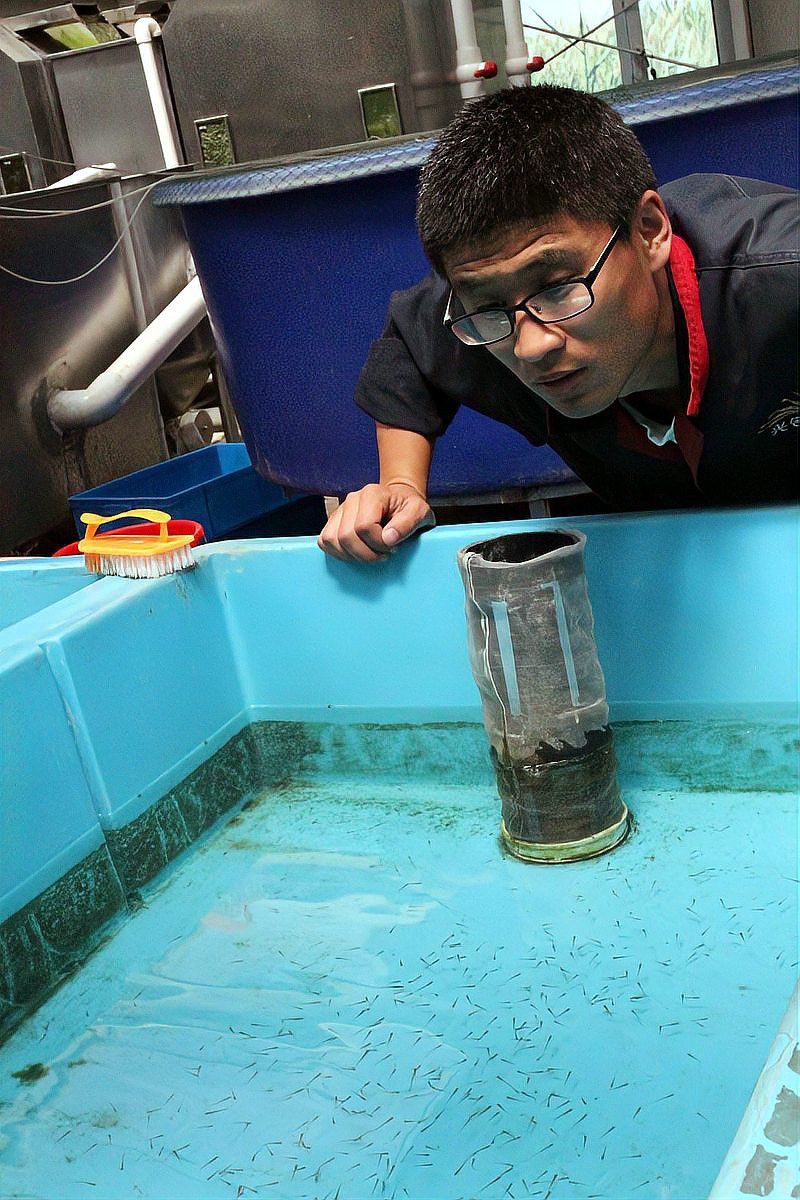 如何判斷小魚是否消毒徹底？ 如何判斷小魚是否消毒徹底？ 龍魚百科 第4張