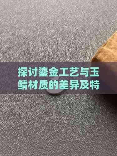 鎏金好還是玉鯖好