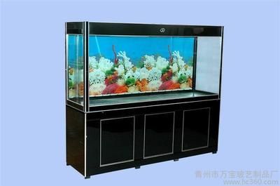 龍魚總在缸底游怎么回事：龍魚總是在缸底游動(dòng)的原因及解決方案