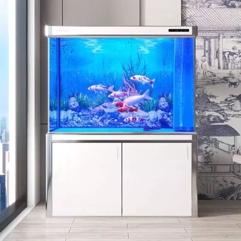 龍魚總在缸底游怎么回事：龍魚總是在缸底游動(dòng)的原因及解決方案