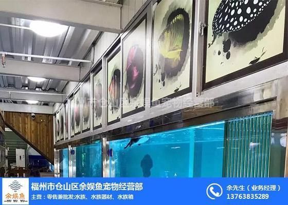 金龍魚養殖技術培訓中心地址：尋找金龍魚養殖技術培訓中心的具體地址 金龍魚養殖技術培訓中心地址：尋找金龍魚養殖技術培訓中心的具體地址 龍魚百科