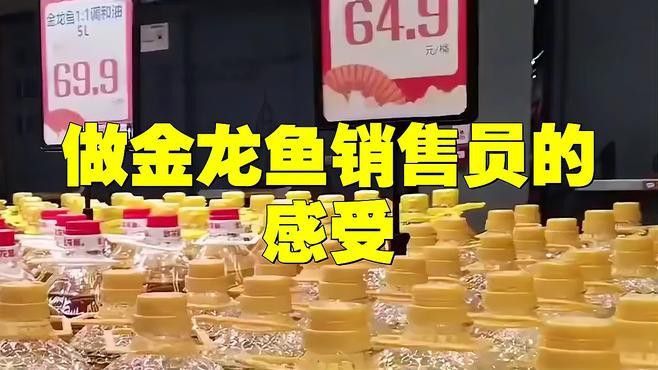金龍魚銷售待遇