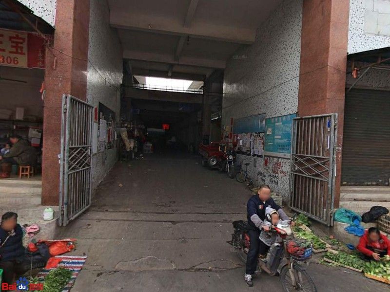 廣州哪里是批發(fā)龍魚的地方