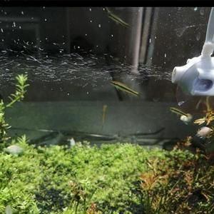 魚缸出水改裝（魚缸出水口改裝）