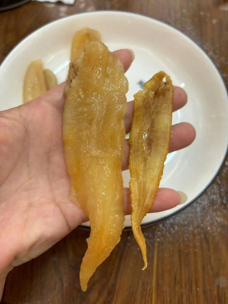 金龍魚膠圖片