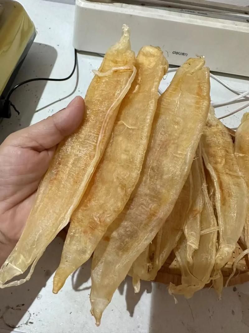 金龍魚膠圖片
