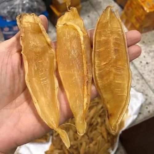 金龍魚膠圖片