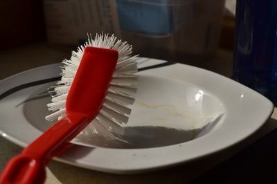 奈及利亞紅圓點狗頭養殖技巧（奈及利亞紅圓點狗頭的養殖技巧）