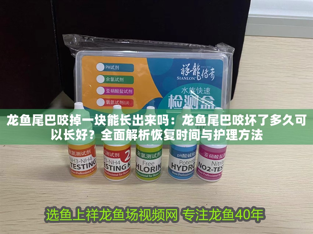 龍魚尾巴咬掉一塊能長出來嗎：龍魚尾巴咬壞了多久可以長好？全面解析恢復時間與護理方法