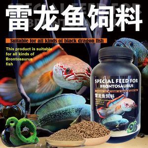 雷龍魚吃什么飼料好：如何判斷雷龍魚的飼料質(zhì)量