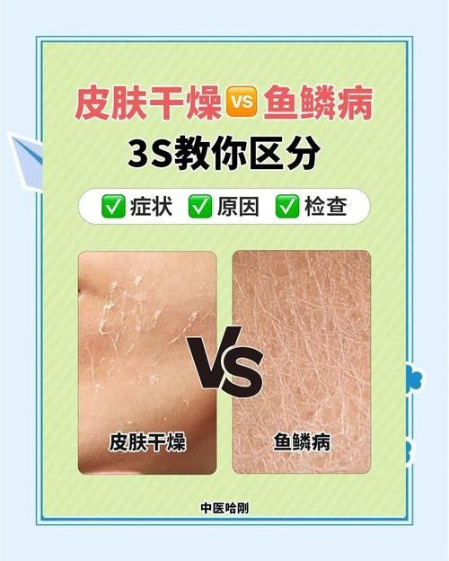 銀龍魚爛鱗怎么治療圖片大全圖解