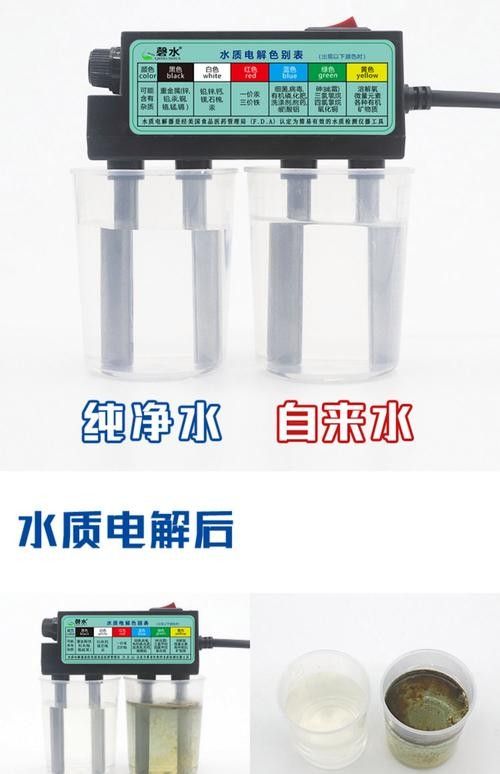 銀龍魚爛鱗怎么治療圖片大全圖解