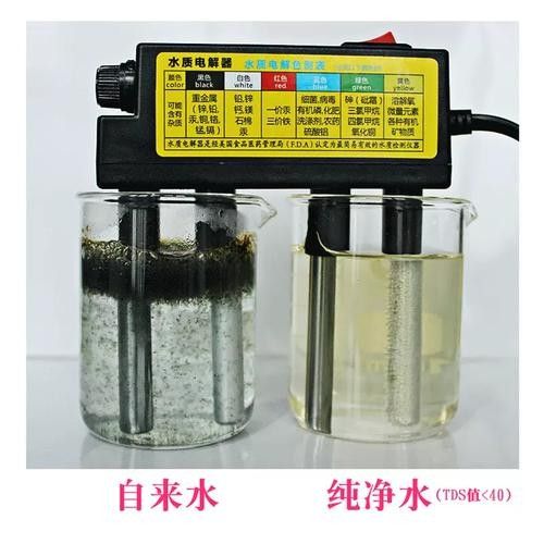 銀龍魚爛鱗怎么治療圖片大全圖解