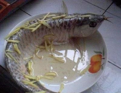 龍魚的作法：幾種常見的龍魚烹飪方法 龍魚的作法：幾種常見的龍魚烹飪方法 龍魚百科 第1張