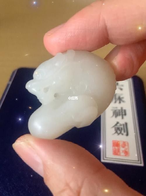 小玉龍魚圖片大全 小玉龍魚圖片大全 龍魚百科 第21張