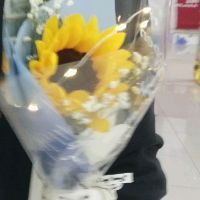 金龍魚水溫15度會死嗎 金龍魚水溫15度會死嗎 龍魚百科 第3張