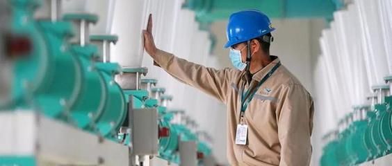 紅金龍魚的價格是多少錢一條（紅金龍魚價格因其品種、大小、顏色飽和度、品種純度以及是否帶有競賽證書）