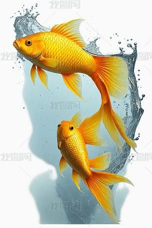 龍魚魚缸背景圖片大全超清