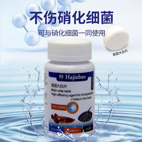 海水龍魚圖片大全大圖欣賞 海水龍魚圖片大全大圖欣賞 龍魚百科 第16張