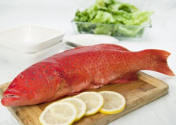 海水龍魚圖片大全大圖欣賞 海水龍魚圖片大全大圖欣賞 龍魚百科 第22張