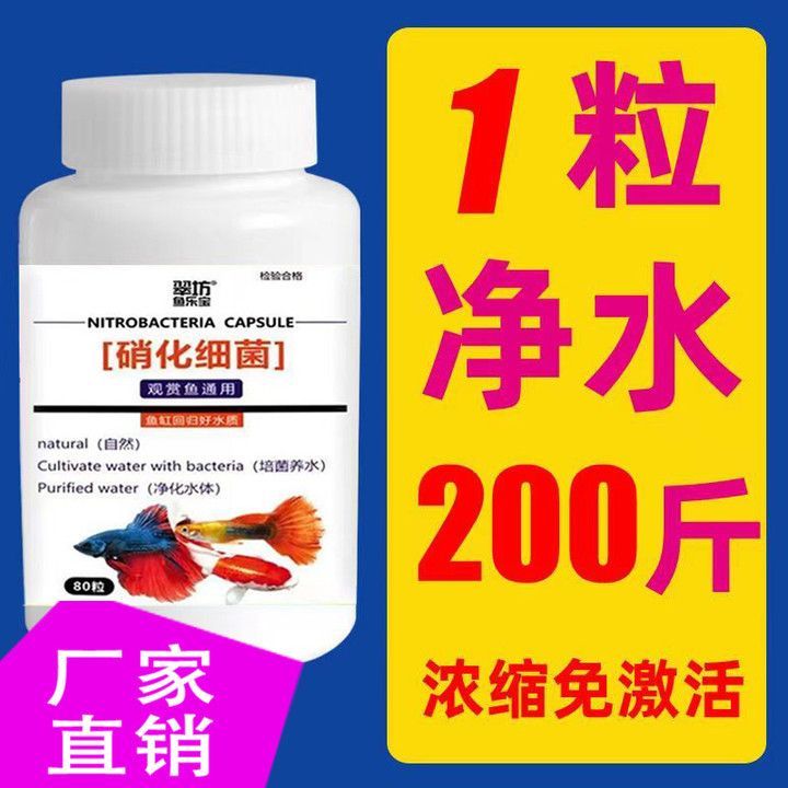 養龍魚必備藥劑是什么成分：龍魚藥劑使用注意事項 養龍魚必備藥劑是什么成分：龍魚藥劑使用注意事項 龍魚百科 第5張