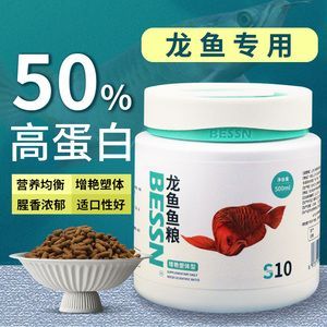 龍魚飼料推薦品種有哪些種類：2024年龍魚飼料排行榜