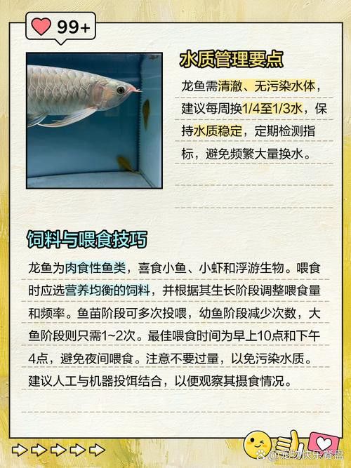 萬(wàn)龍魚百度百科大全圖