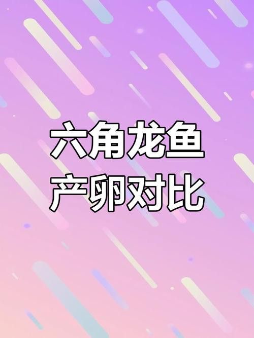 虎斑恐龍魚(yú)繁殖方法和技巧圖片大全